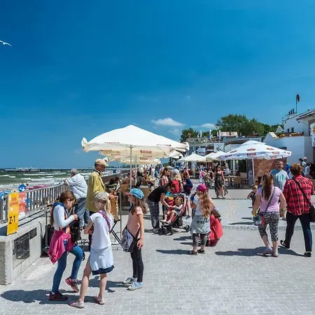 דירה Navigator-port *